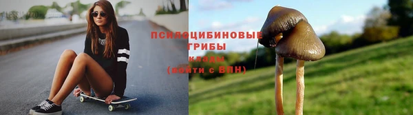 Альфа ПВП Абаза